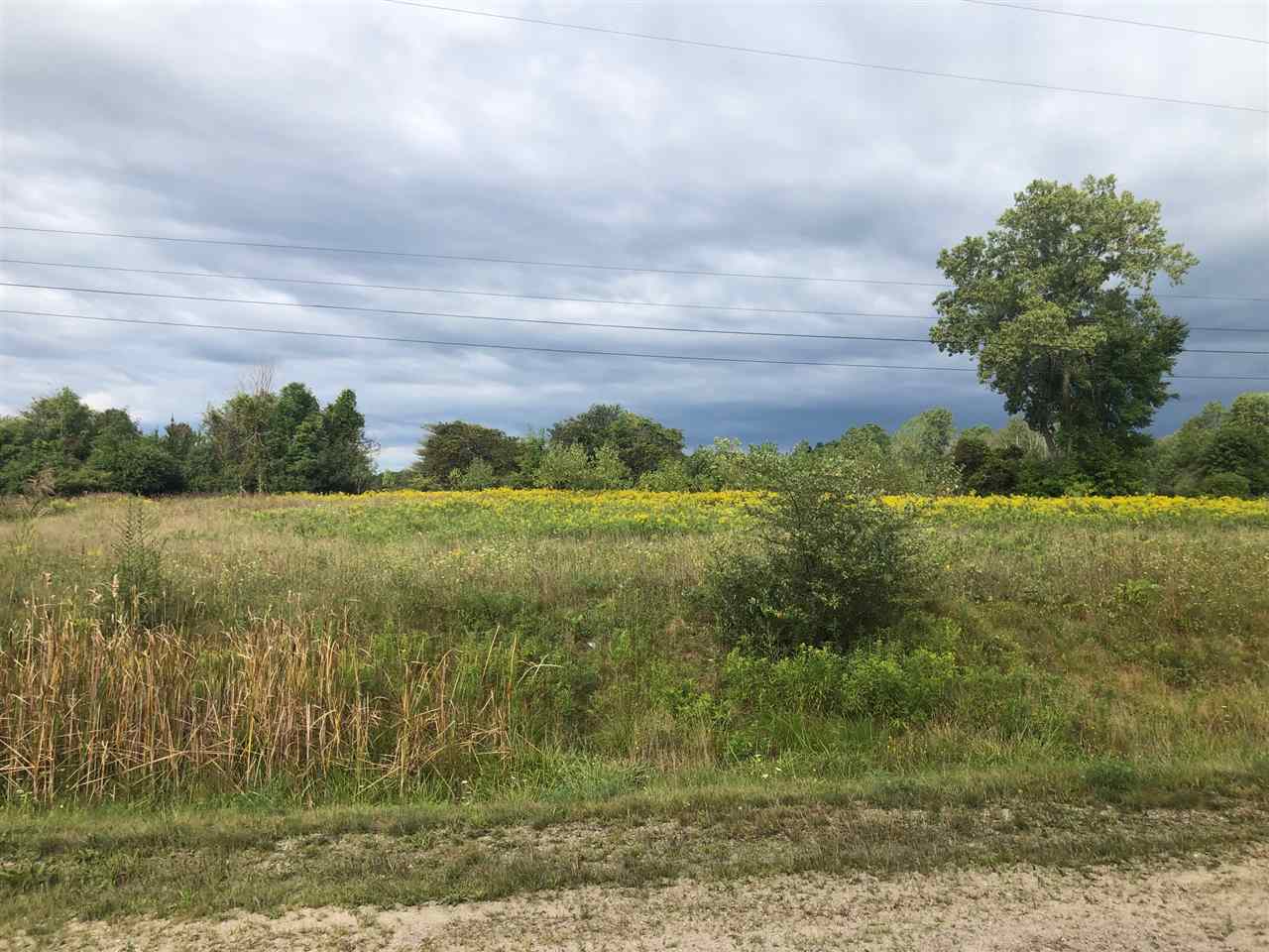 0 Omo Road, Unit 1 New Haven, MI 48050 - Photo 1 of 4