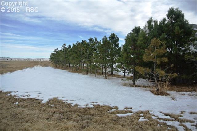 24158 Ben Kelly Road Elbert, CO 80106 - Photo 33 of 34