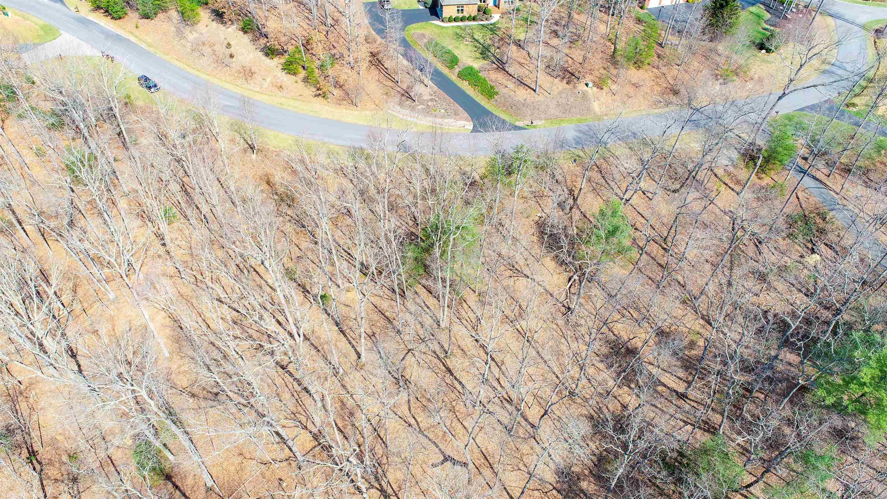 1030 Treetop Ridge Road Blacksburg, VA 24060 - Photo 16 of 19 Gallery Image 16