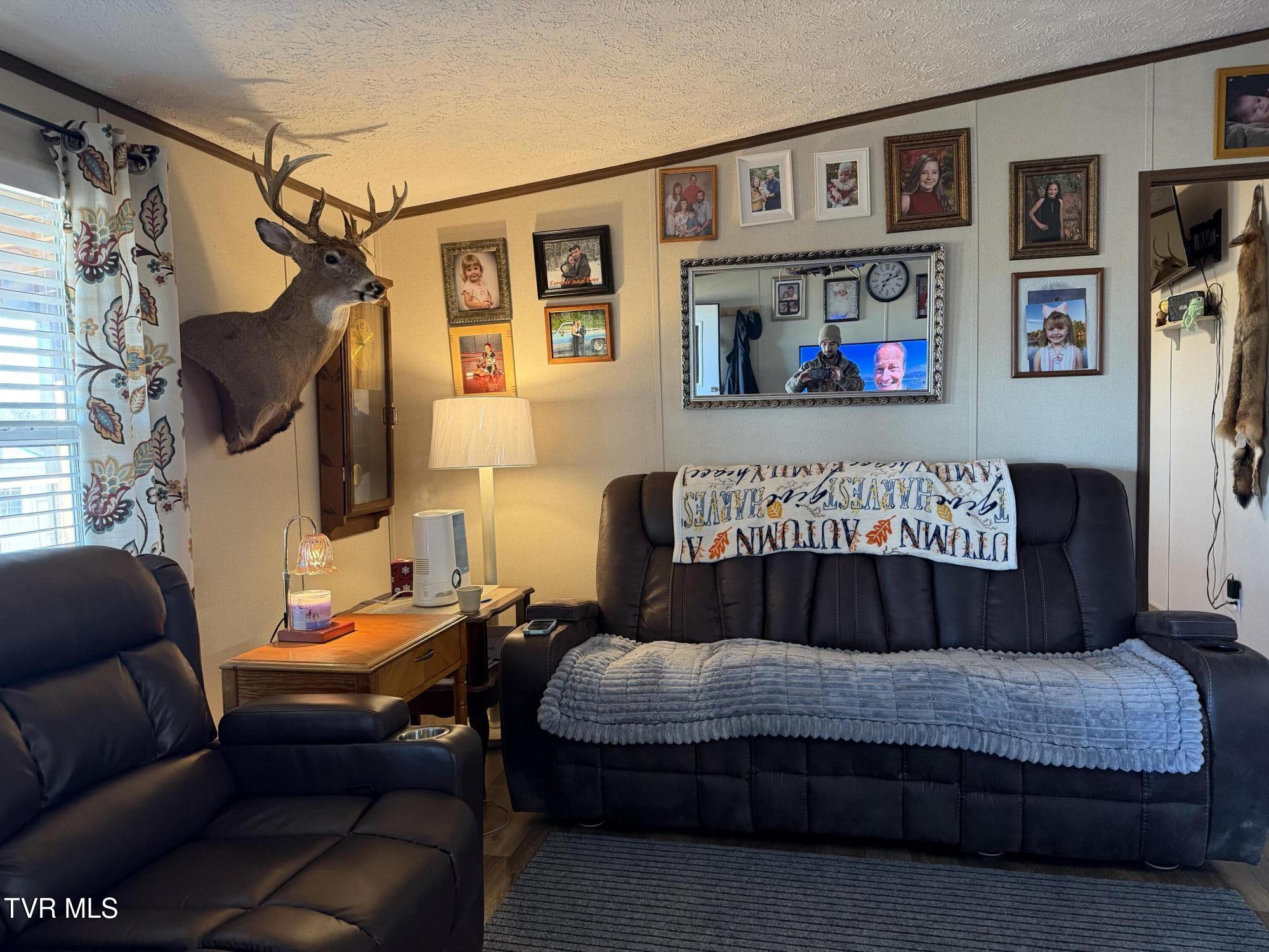 220 Redwood Lane Mosheim, TN 37818 - Photo 21 of 47 IMG_5428