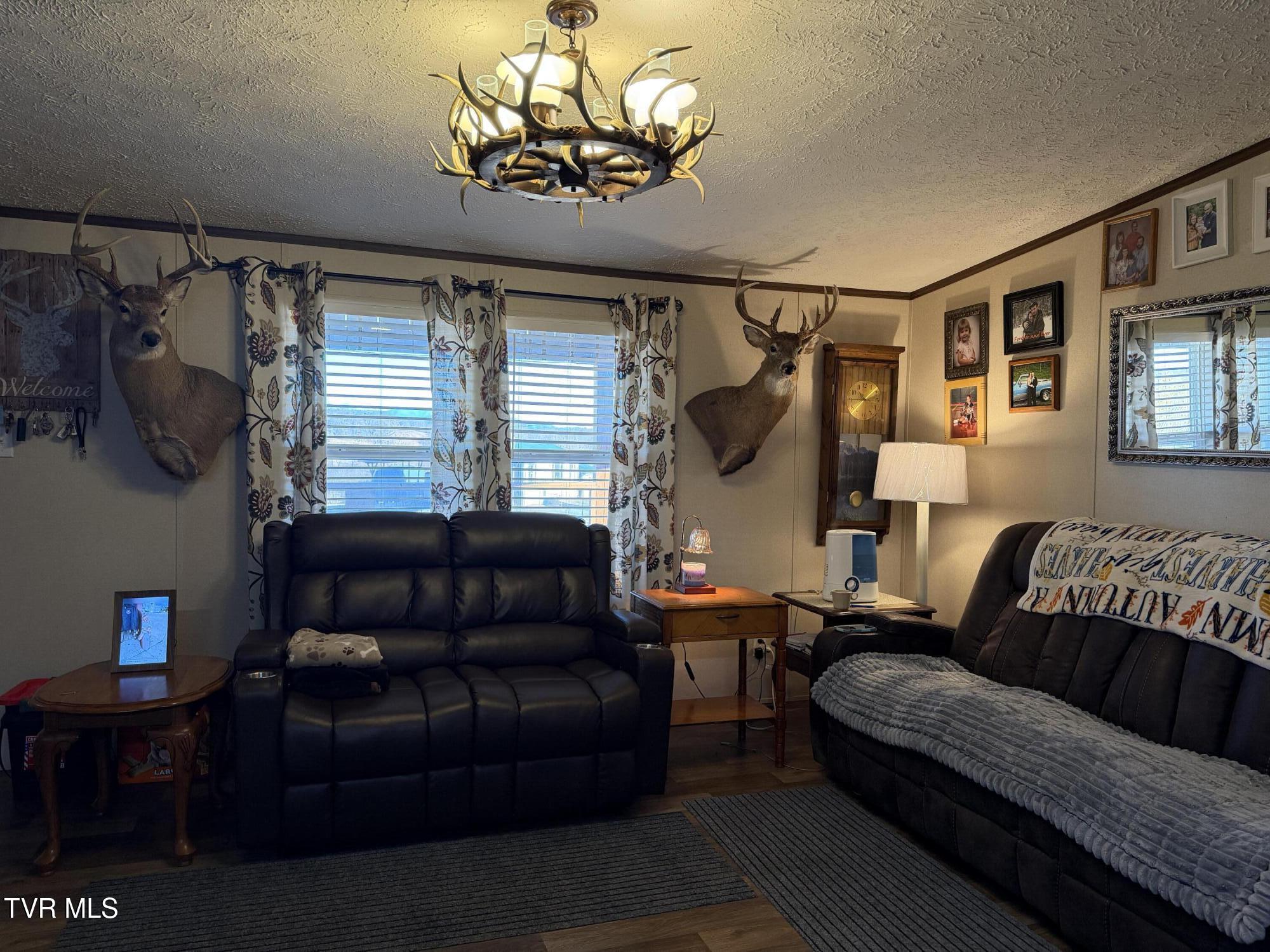 220 Redwood Lane Mosheim, TN 37818 - Photo 22 of 47 IMG_5430