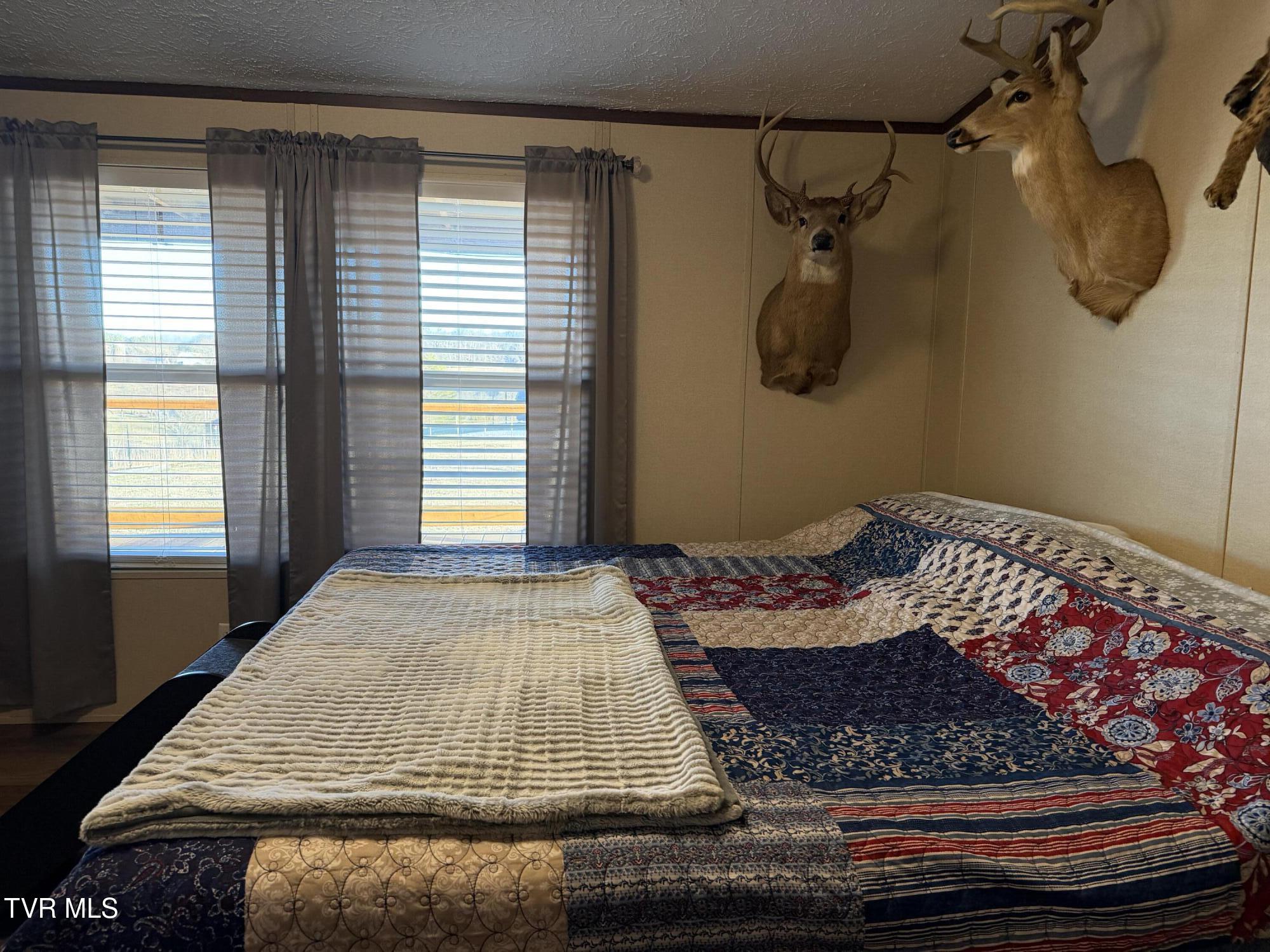 220 Redwood Lane Mosheim, TN 37818 - Photo 29 of 47 IMG_5450