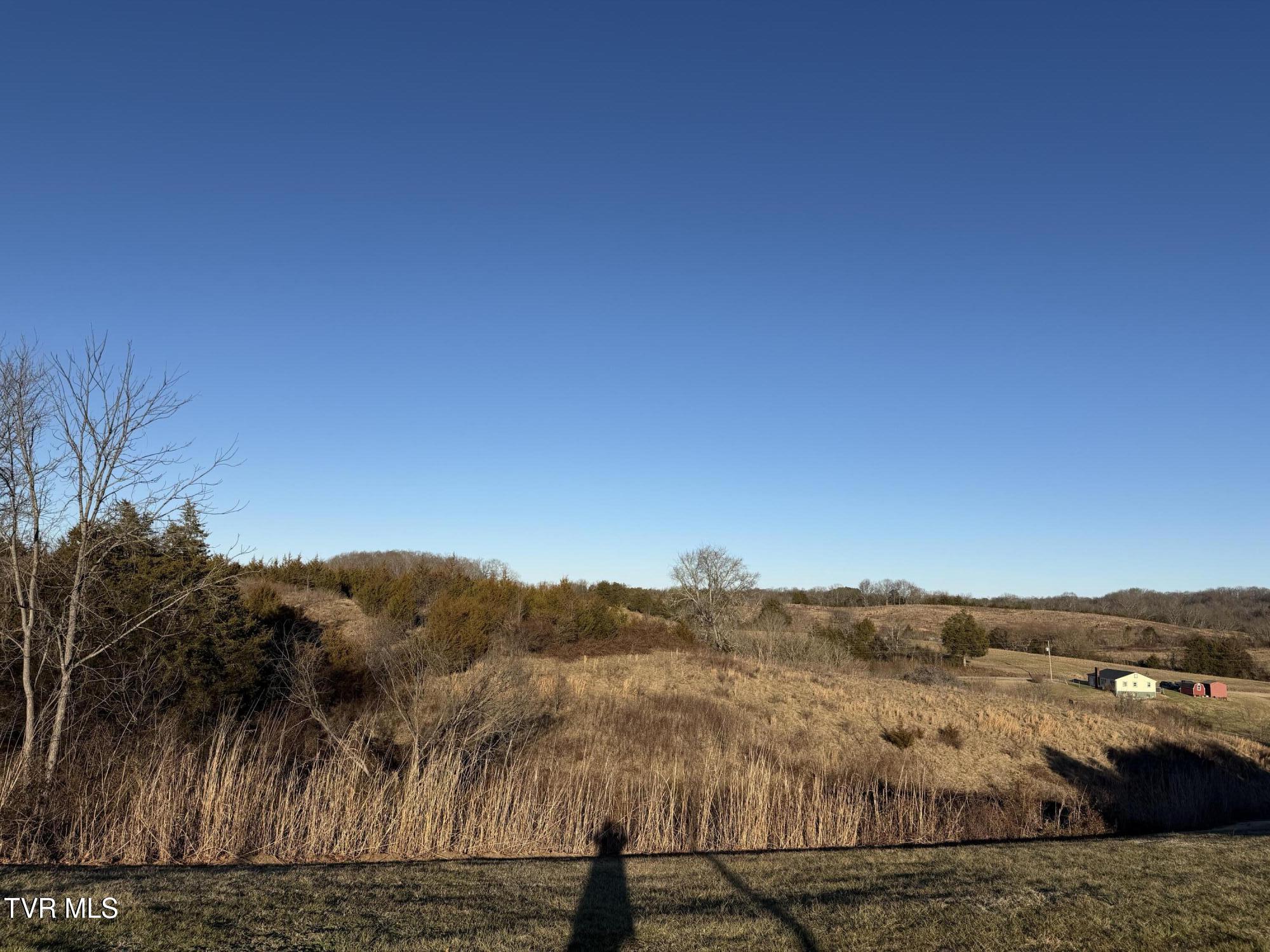 220 Redwood Lane Mosheim, TN 37818 - Photo 4 of 47 IMG_5416