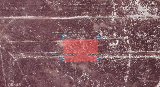 a close up of a tree