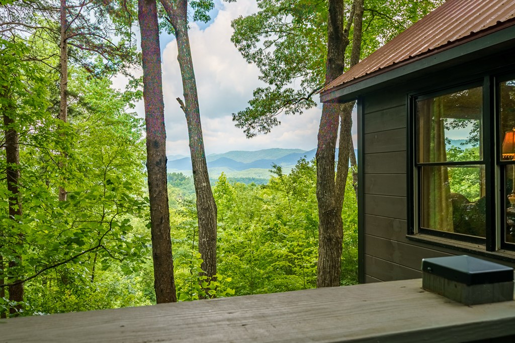 600 Cohutta Mountain Road Blue Ridge, GA 30513 - Photo 45 of 46