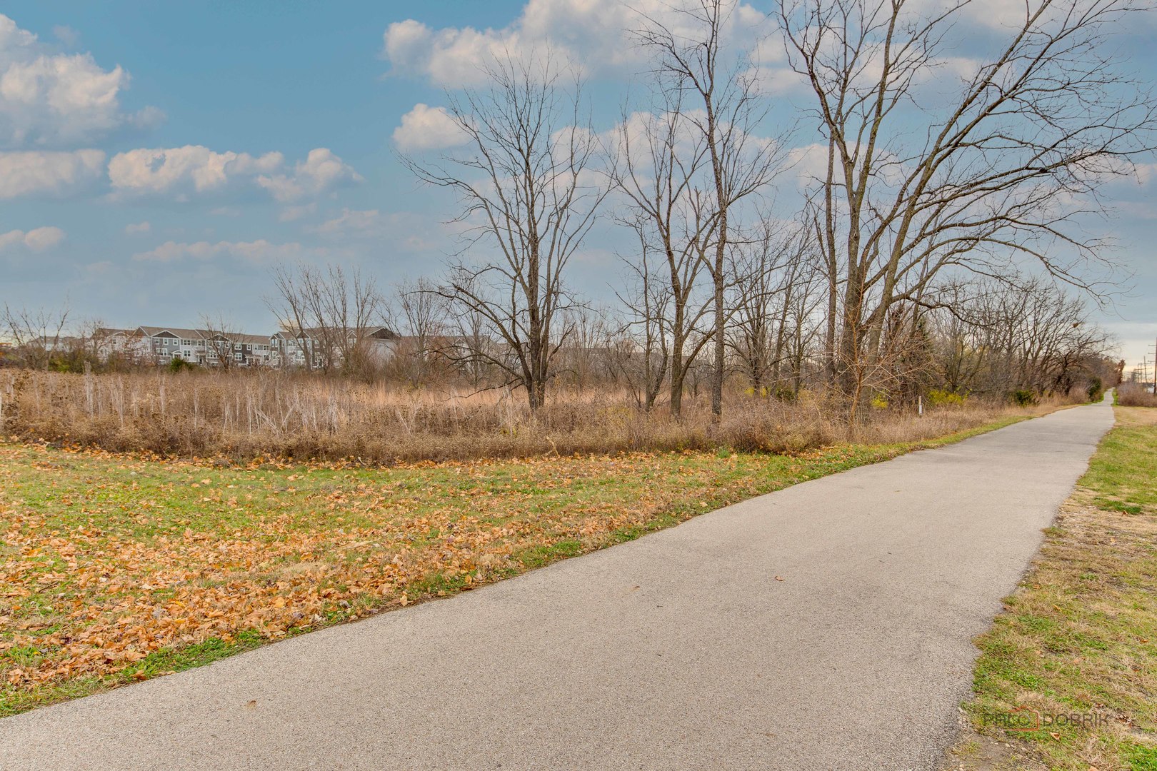 1017 Atterberg Road South Elgin, IL 60177 - Photo 24 of 24 Gallery Image 24