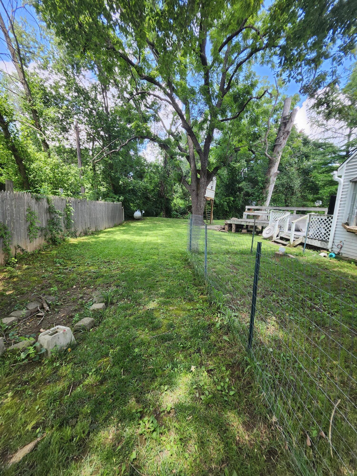 209 Rush Street Pleasant Hope, MO 65725 - Photo 29 of 33 20260712_133830