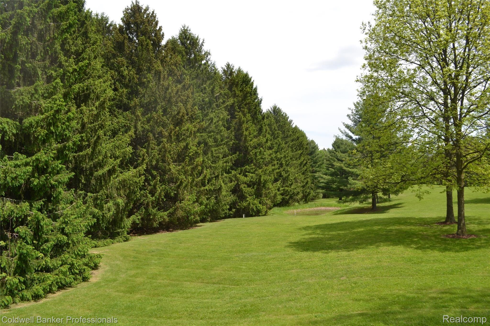 1217 Lake Nepessing Road Lapeer, MI 48446 - Photo 25 of 40 DSC_0063.JPG