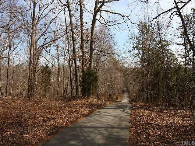 8330 Johnson Mill Road Bahama, NC 27503 - Photo 12 of 12 View of the blacktop access road