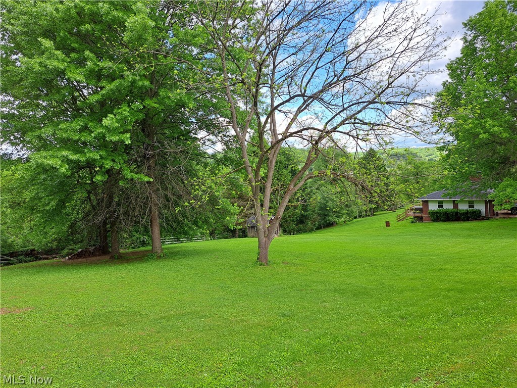 3905 Mark Road Cambridge, OH 43725 - Photo 11 of 50 View of large yard