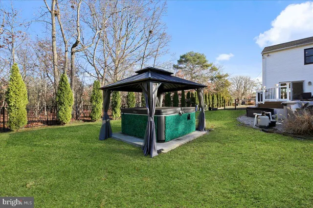 a view of a park with large trees