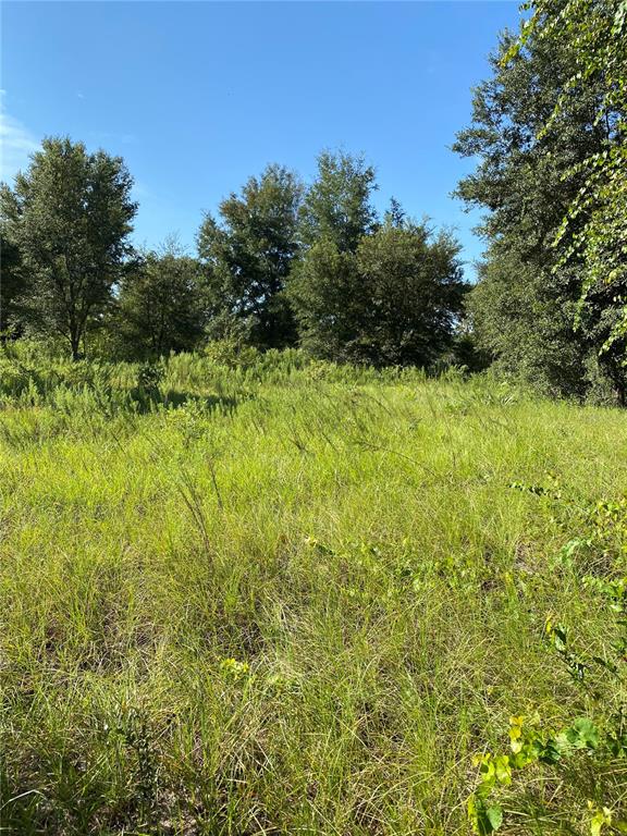 Locust Run Radiel Ocala, FL 34472 - Photo 1 of 1 a view of a garden