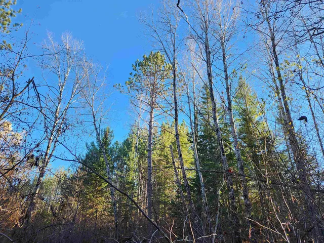 $127,500 | 27-xxx Dayton Road, Washburn, WI 54891