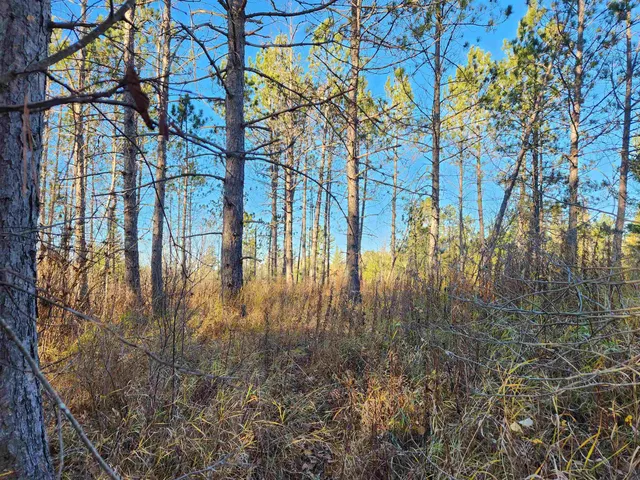 $127,500 | 27-xxx Dayton Road, Washburn, WI 54891