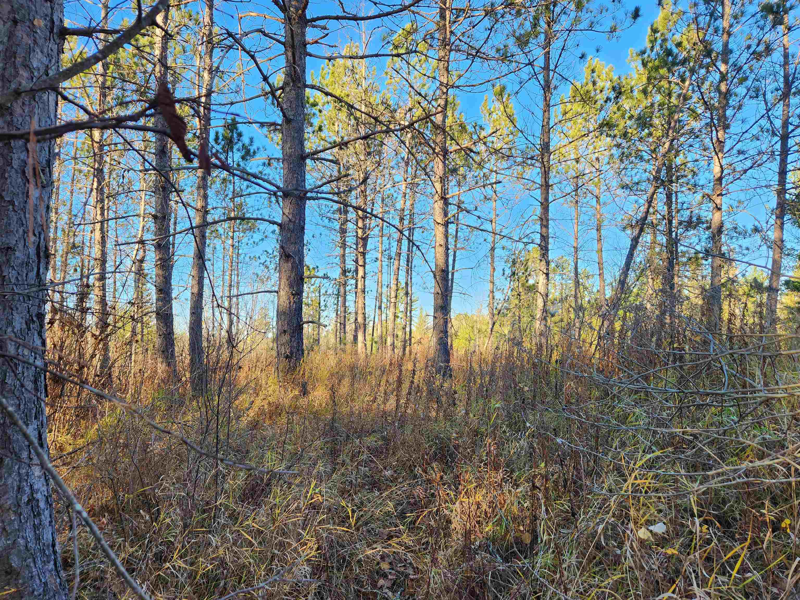 27-xxx Dayton Road Washburn, WI 54891 - Photo 2 of 13 Gallery Image 2