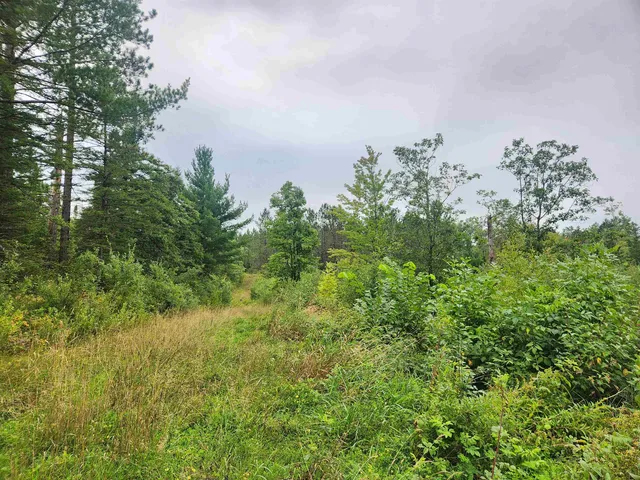$127,500 | 27-xxx Dayton Road, Washburn, WI 54891