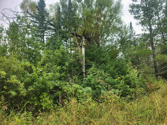 $127,500 | 27-xxx Dayton Road, Washburn, WI 54891