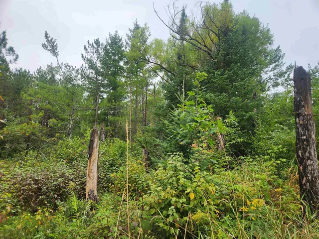 $127,500 | 27-xxx Dayton Road, Washburn, WI 54891