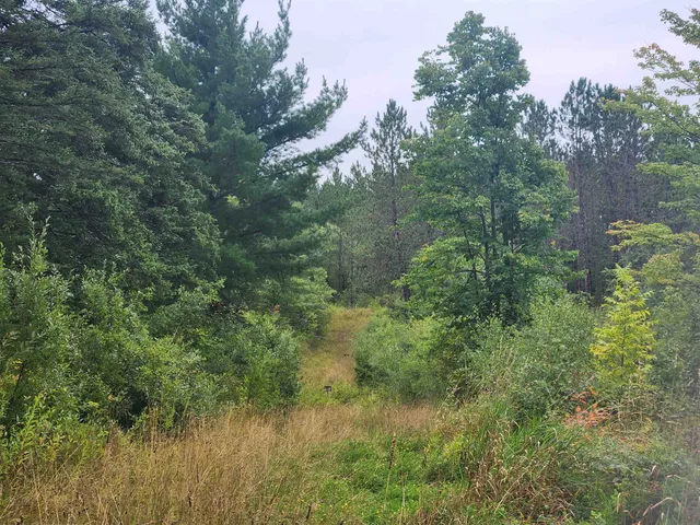 $127,500 | 27-xxx Dayton Road, Washburn, WI 54891