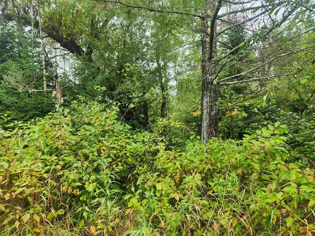 $127,500 | 27-xxx Dayton Road, Washburn, WI 54891