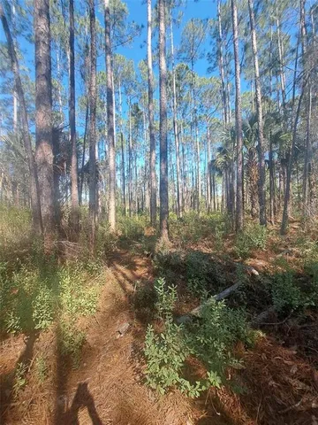 a view of backyard with green space