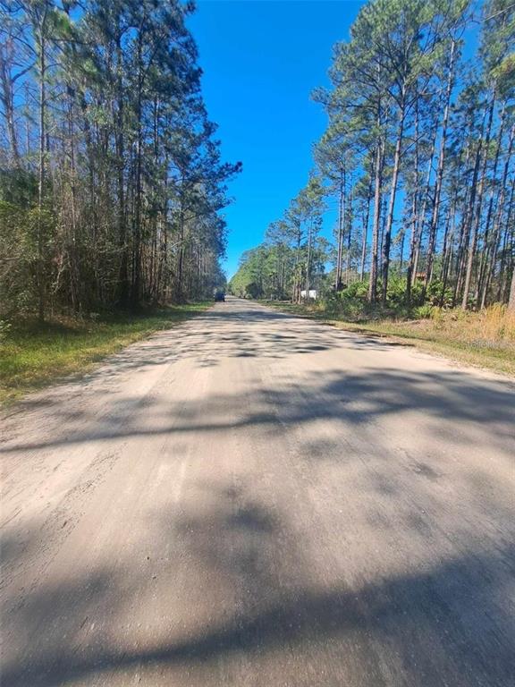 5146 Lime Avenue Bunnell, FL 32110 - Photo 4 of 4 a view of a yard with large trees