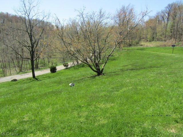 54535 Fulton Hill Road Bellaire, OH 43906 - Photo 8 of 10 Gallery Image 8