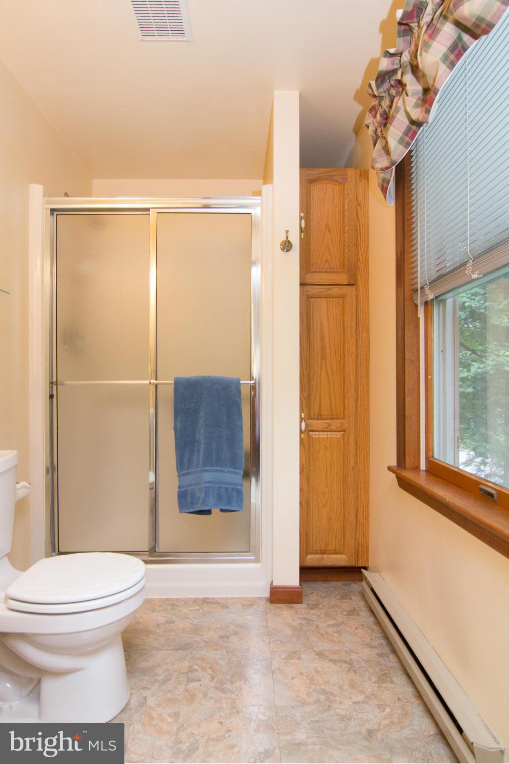 1091 Long Valley Road Westminster, MD 21158 - Photo 13 of 30 Bath (Master)