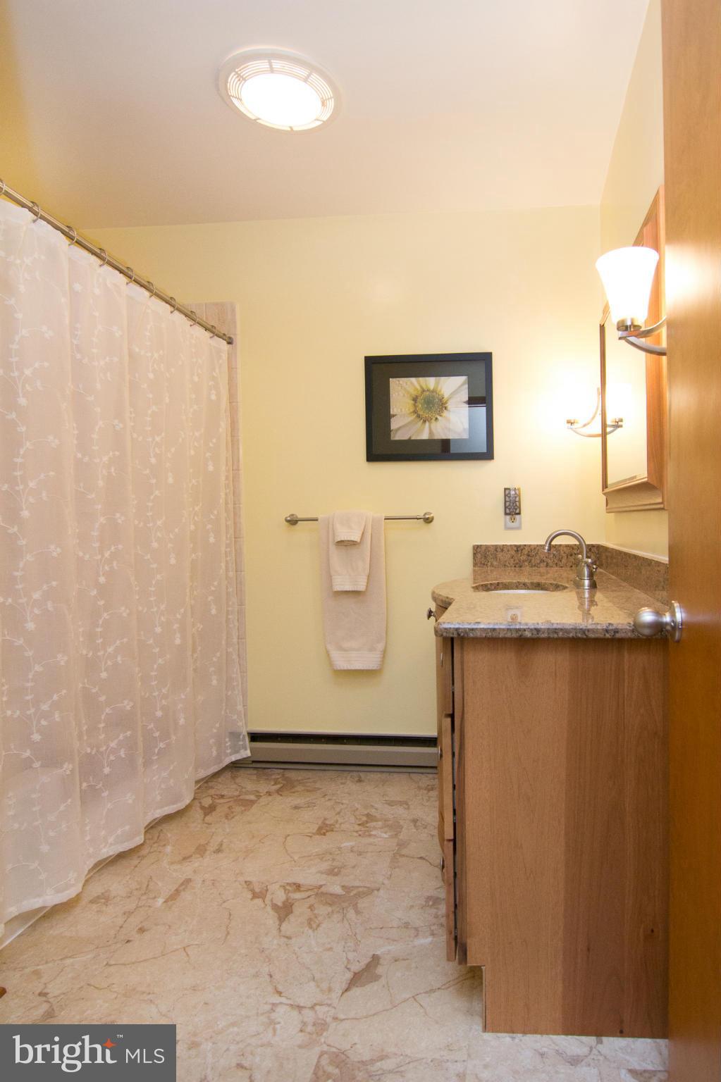 1091 Long Valley Road Westminster, MD 21158 - Photo 18 of 30 Bath