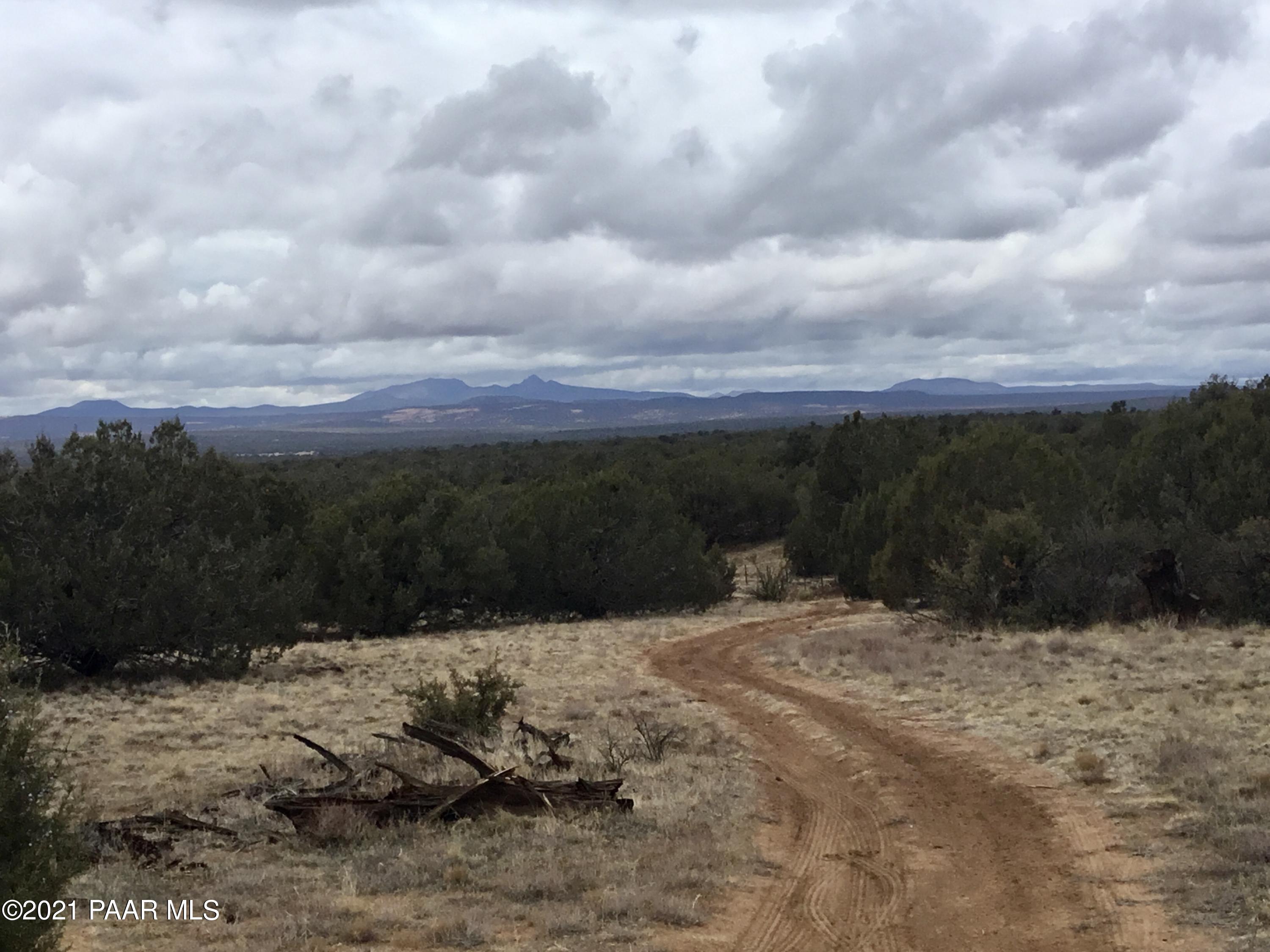 5986 North Forest Line Road Williams, AZ 86046 - Photo 1 of 29 Forest Line