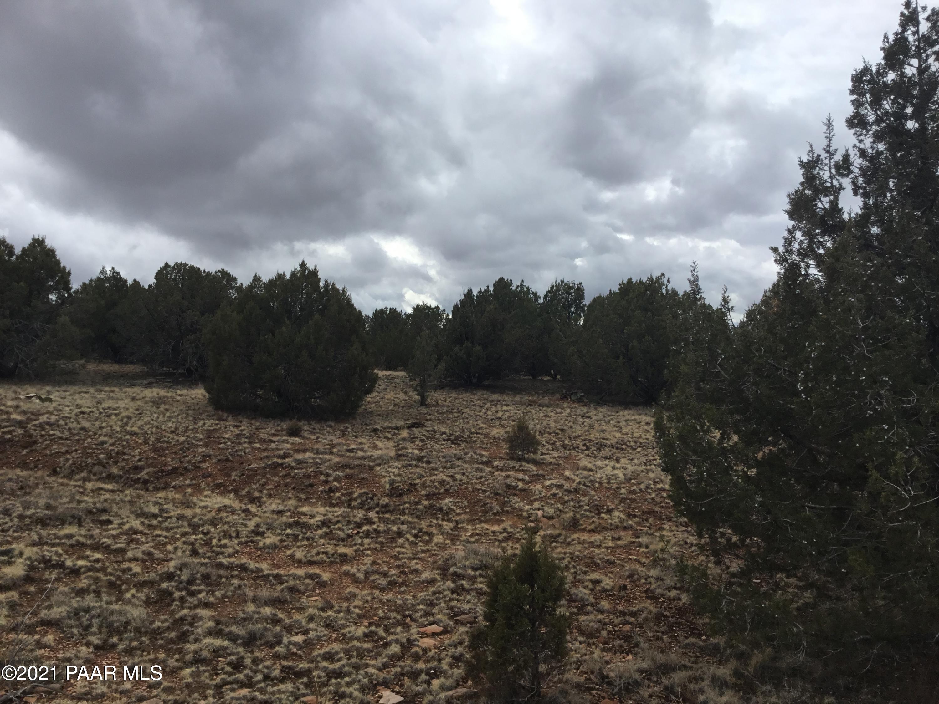 5986 North Forest Line Road Williams, AZ 86046 - Photo 11 of 29 Forest Line