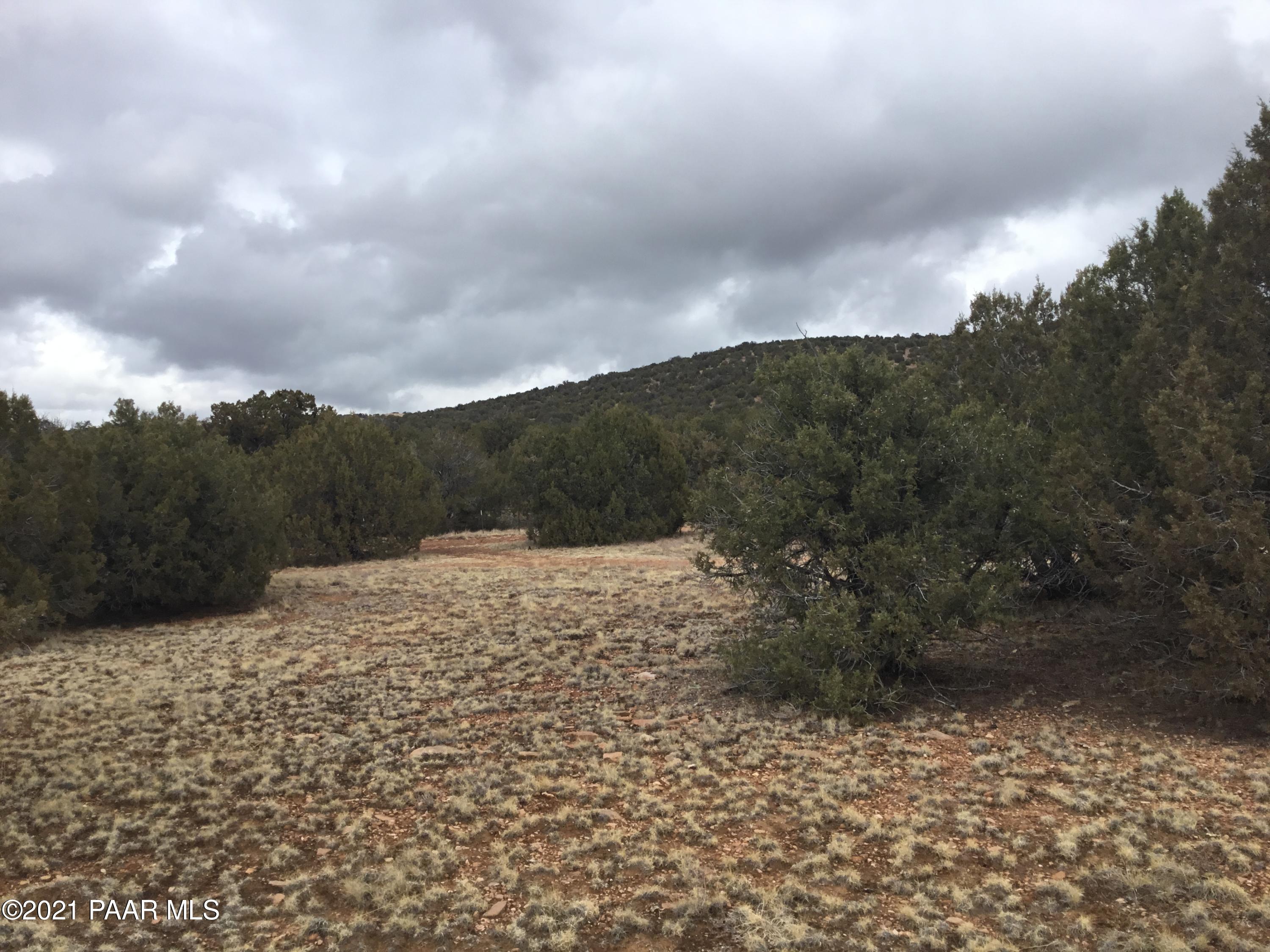 5986 North Forest Line Road Williams, AZ 86046 - Photo 13 of 29 Forest Line