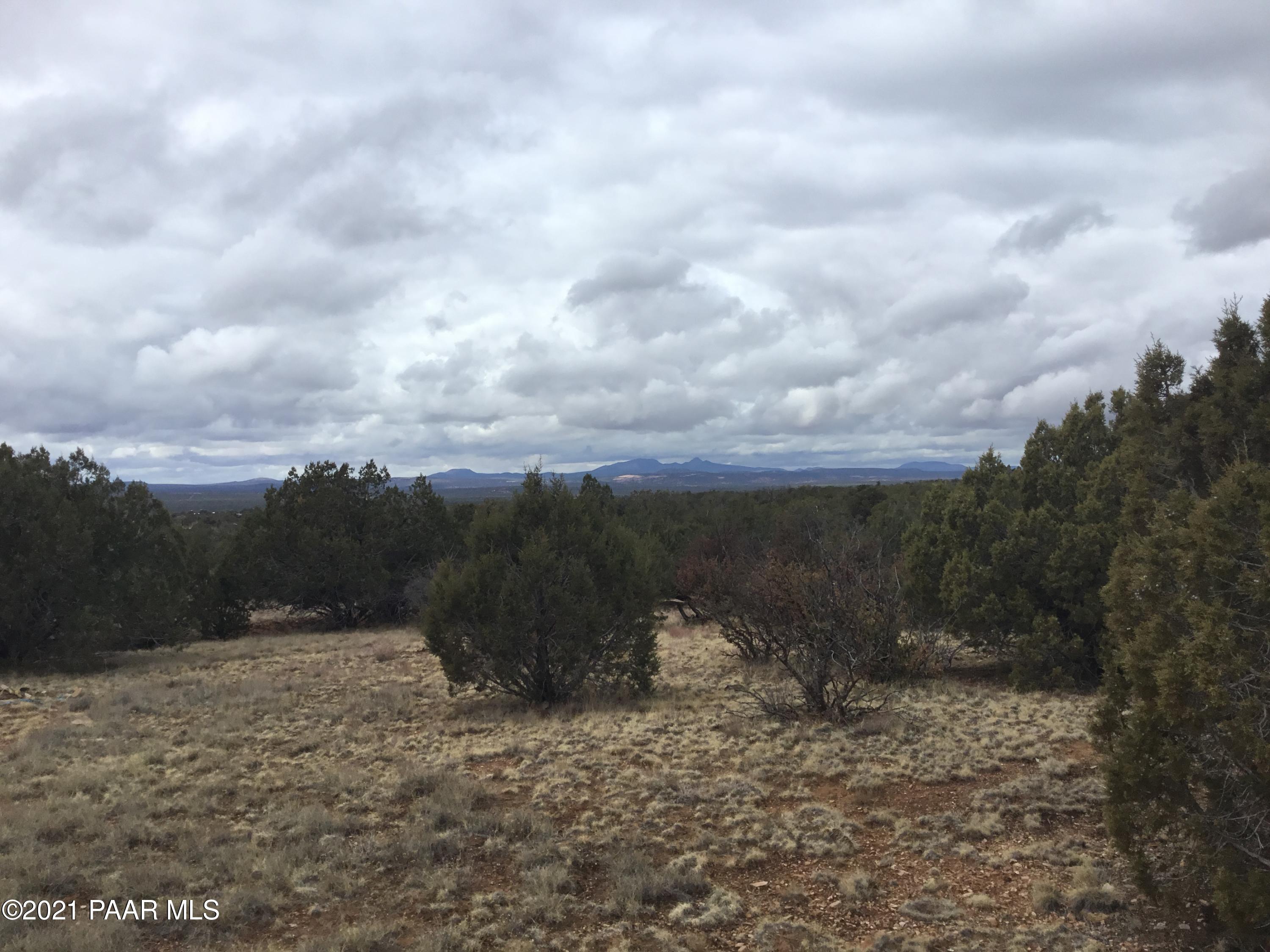 5986 North Forest Line Road Williams, AZ 86046 - Photo 14 of 29 Forest Line