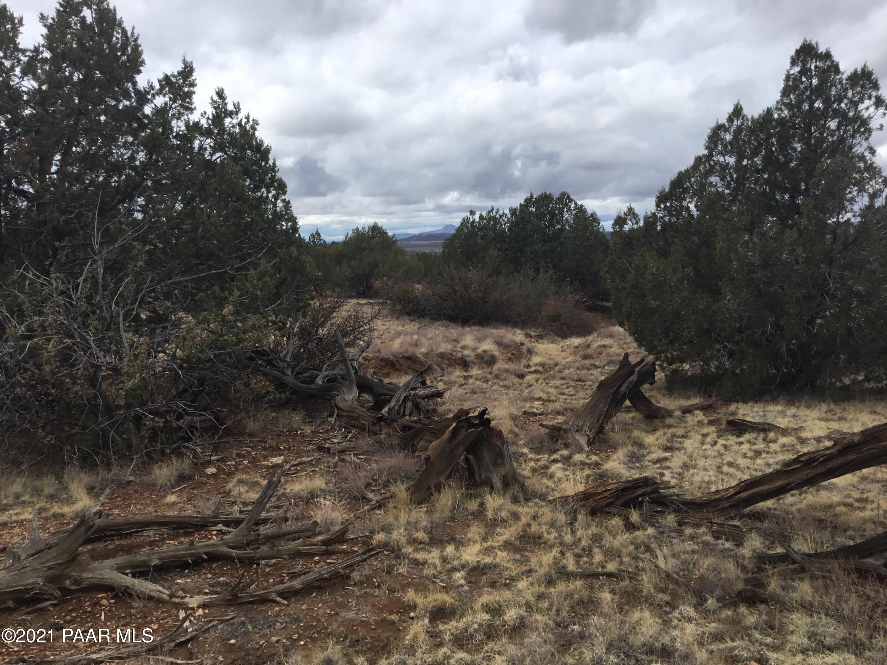 5986 North Forest Line Road Williams, AZ 86046 - Photo 15 of 29 Forest Line
