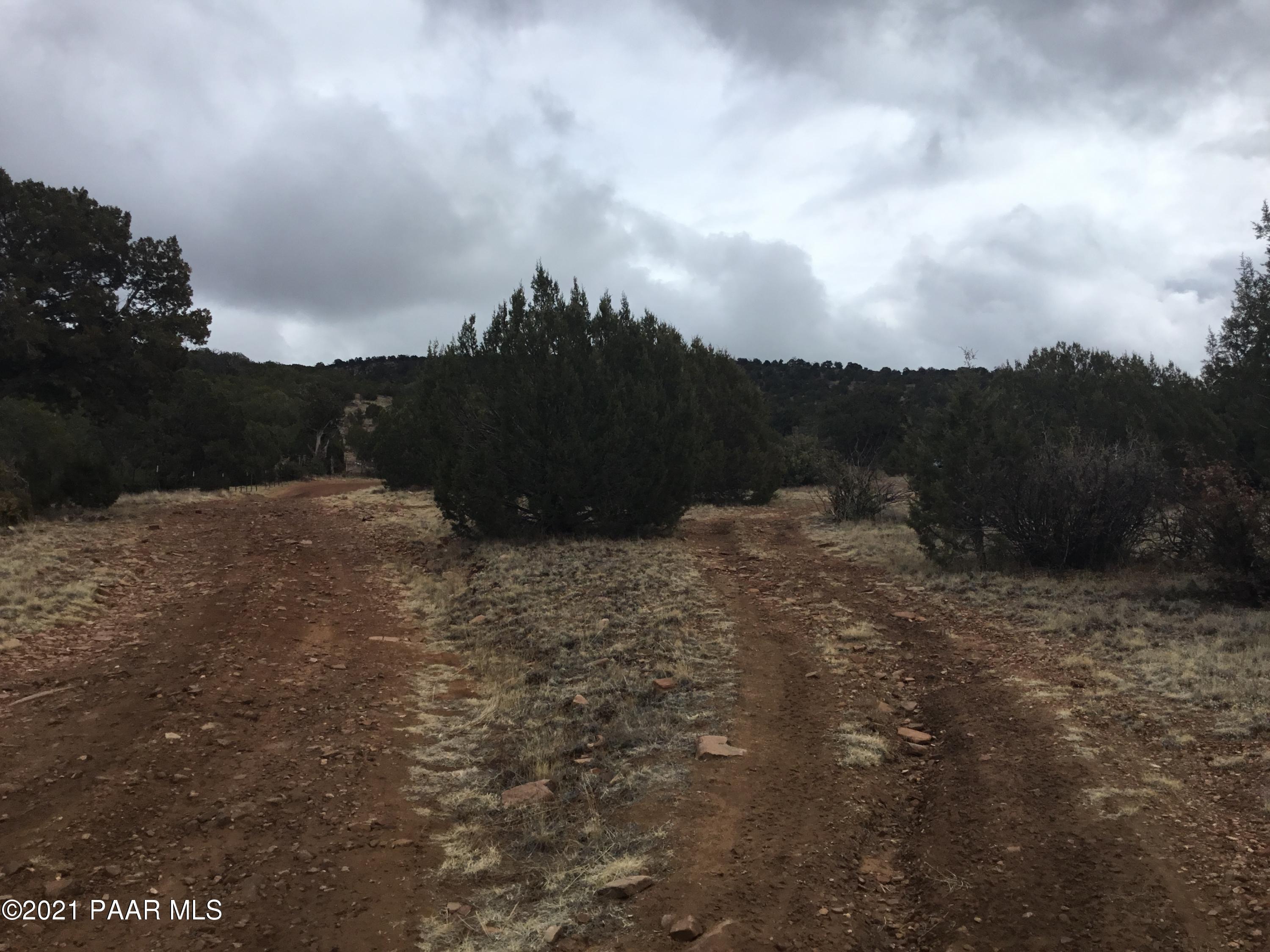 5986 North Forest Line Road Williams, AZ 86046 - Photo 16 of 29 Forest Line