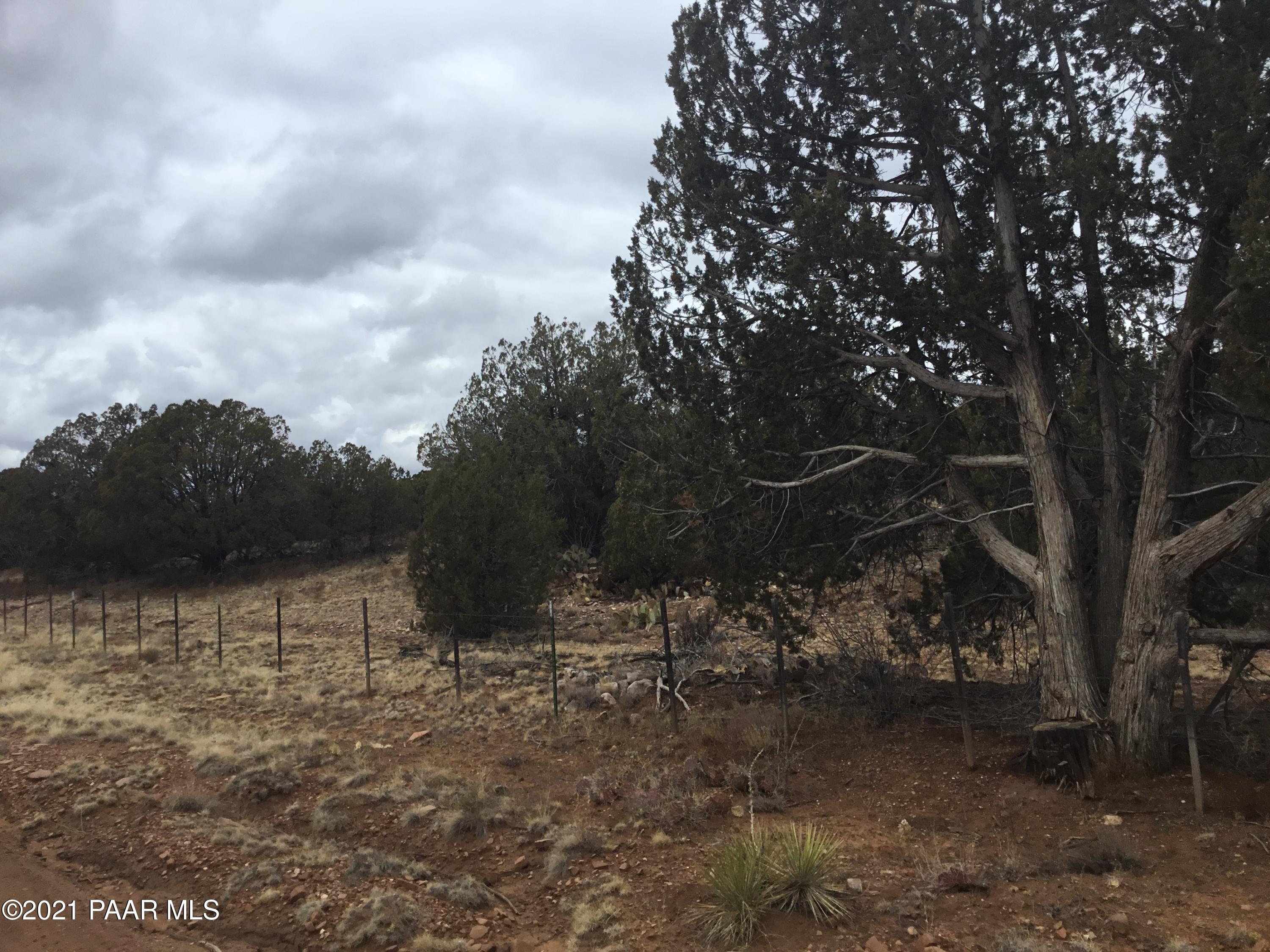 5986 North Forest Line Road Williams, AZ 86046 - Photo 17 of 29 Forest Line