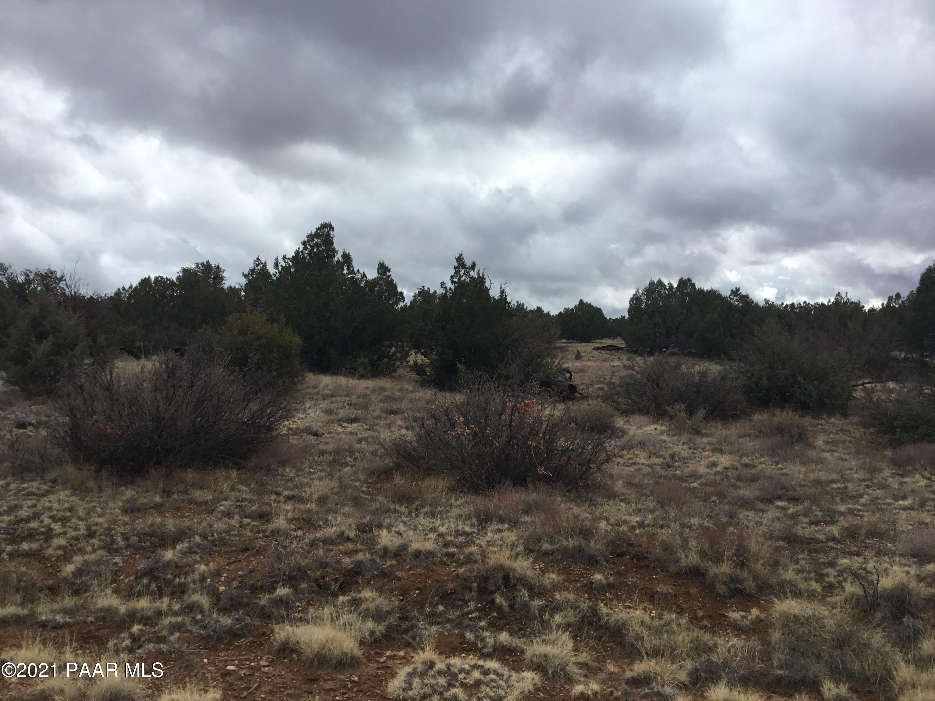5986 North Forest Line Road Williams, AZ 86046 - Photo 20 of 29 Forest Line
