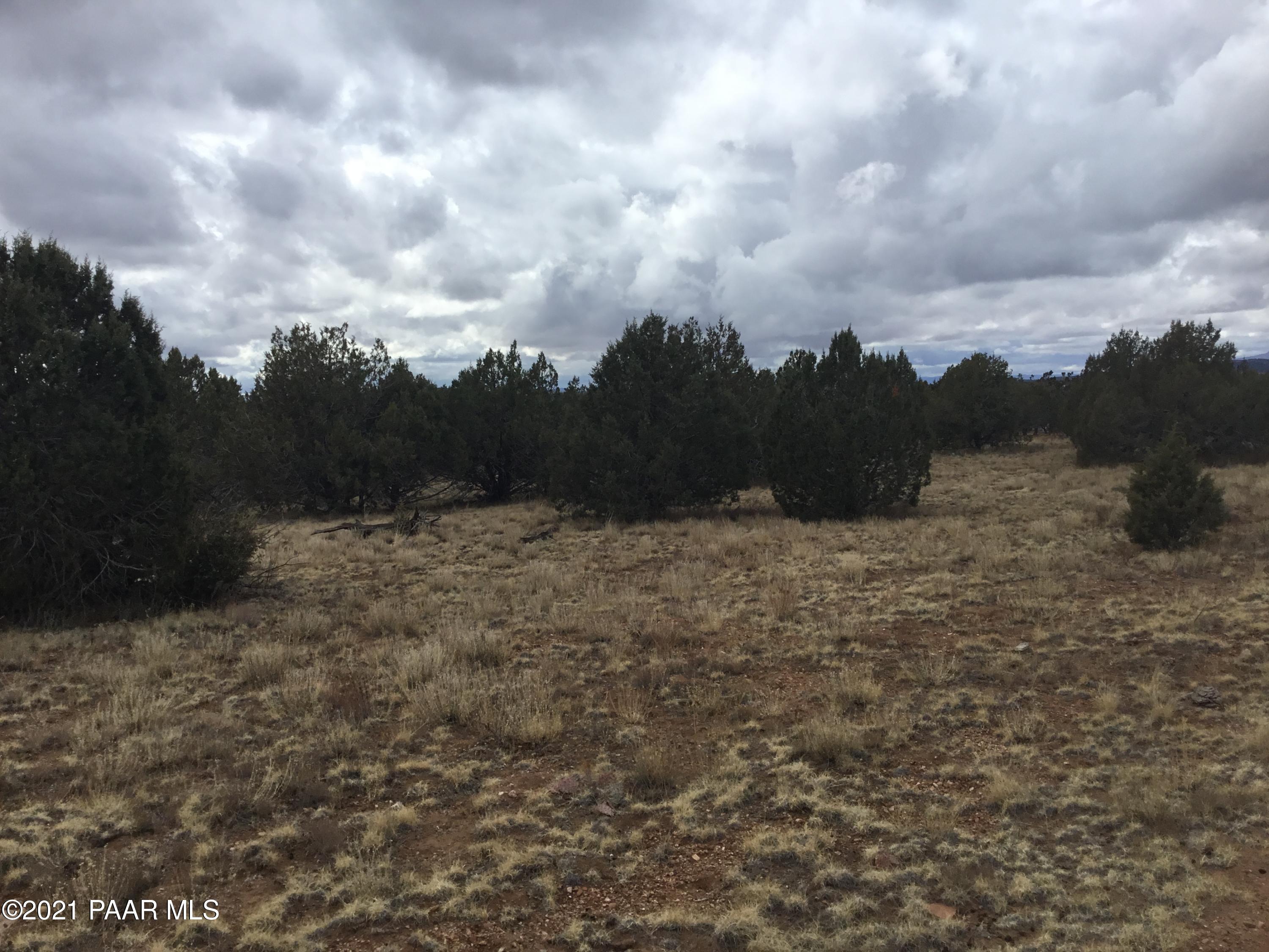 5986 North Forest Line Road Williams, AZ 86046 - Photo 22 of 29 Forest Line