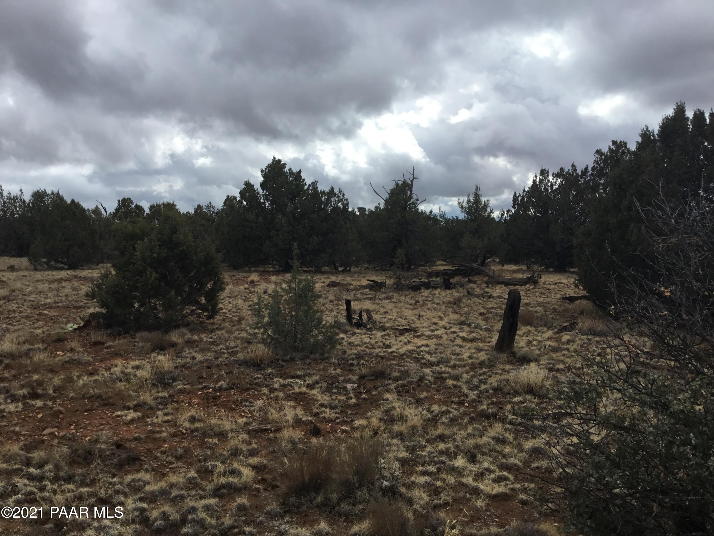 5986 North Forest Line Road Williams, AZ 86046 - Photo 24 of 29 Forest Line