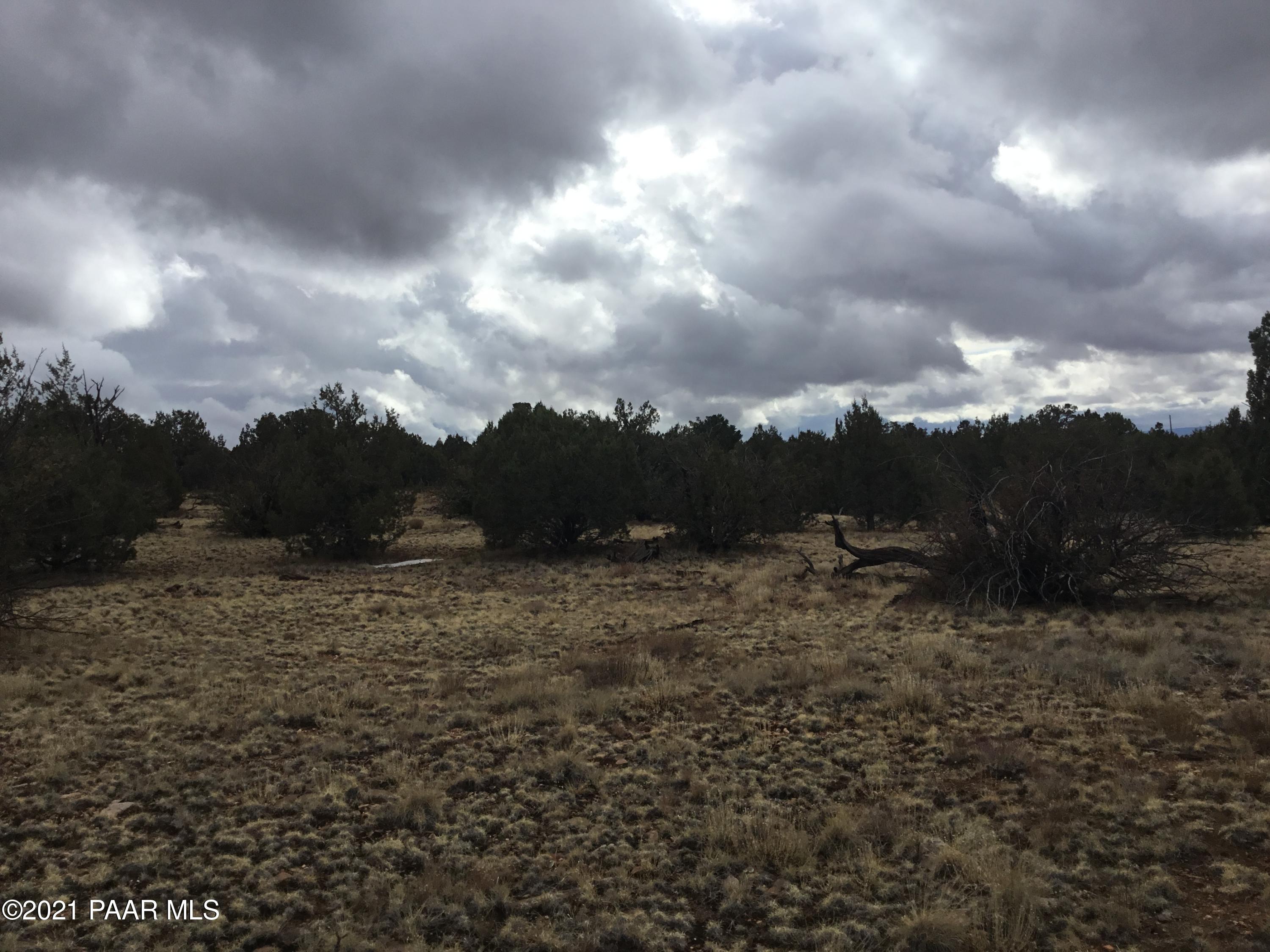 5986 North Forest Line Road Williams, AZ 86046 - Photo 25 of 29 Forest Line