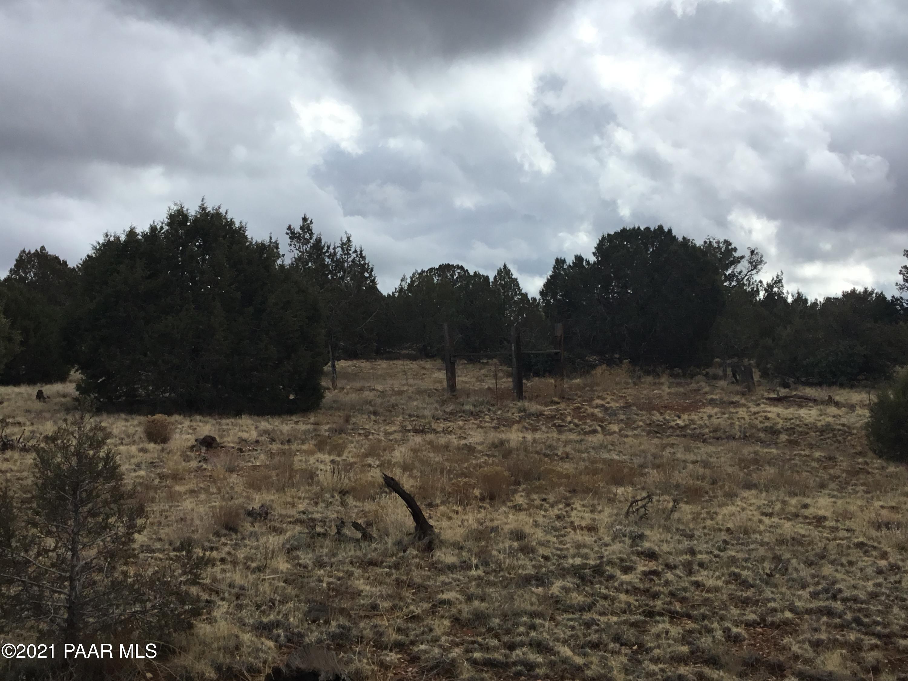 5986 North Forest Line Road Williams, AZ 86046 - Photo 26 of 29 Forest Line