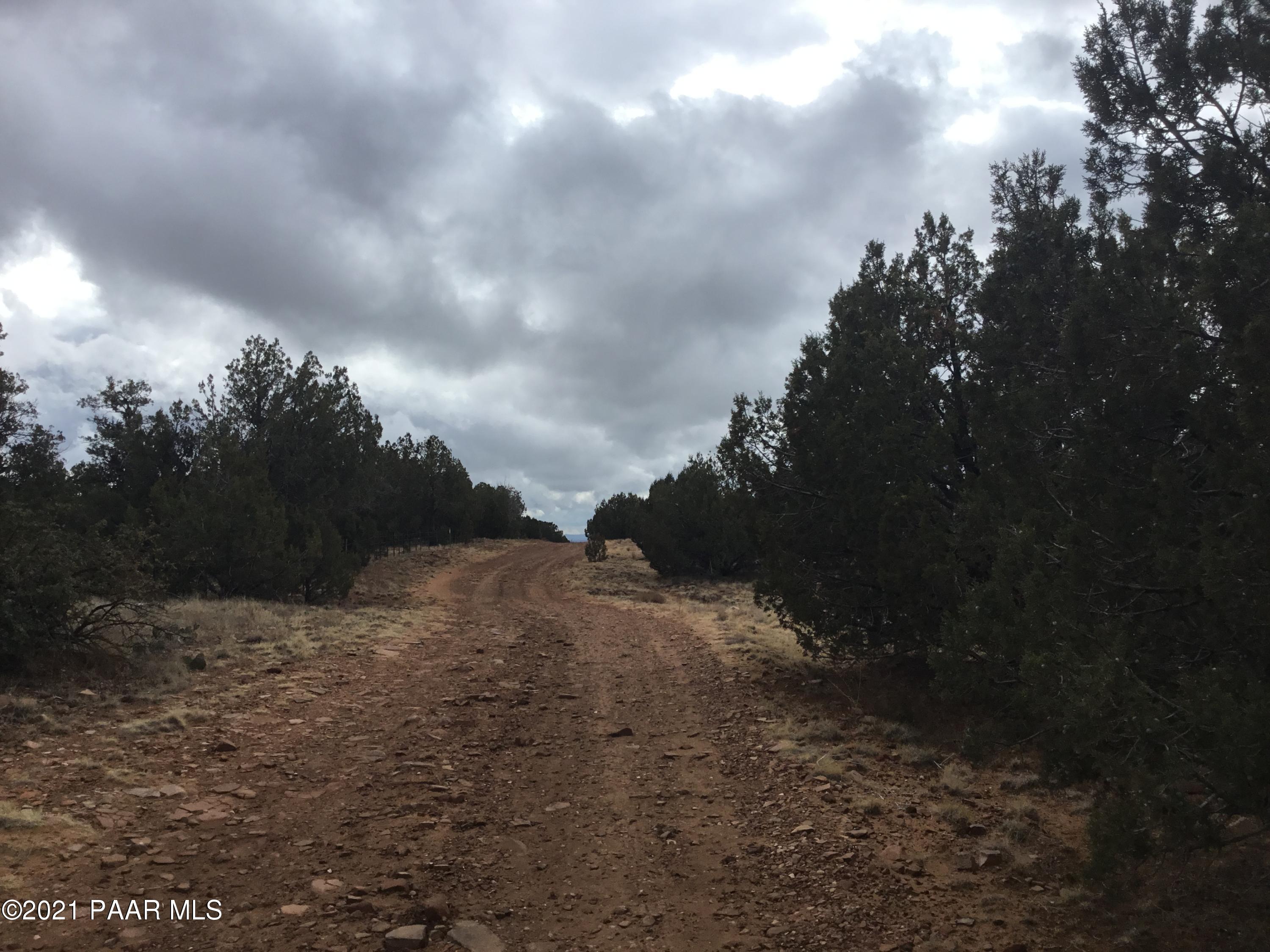 5986 North Forest Line Road Williams, AZ 86046 - Photo 4 of 29 Forest Line