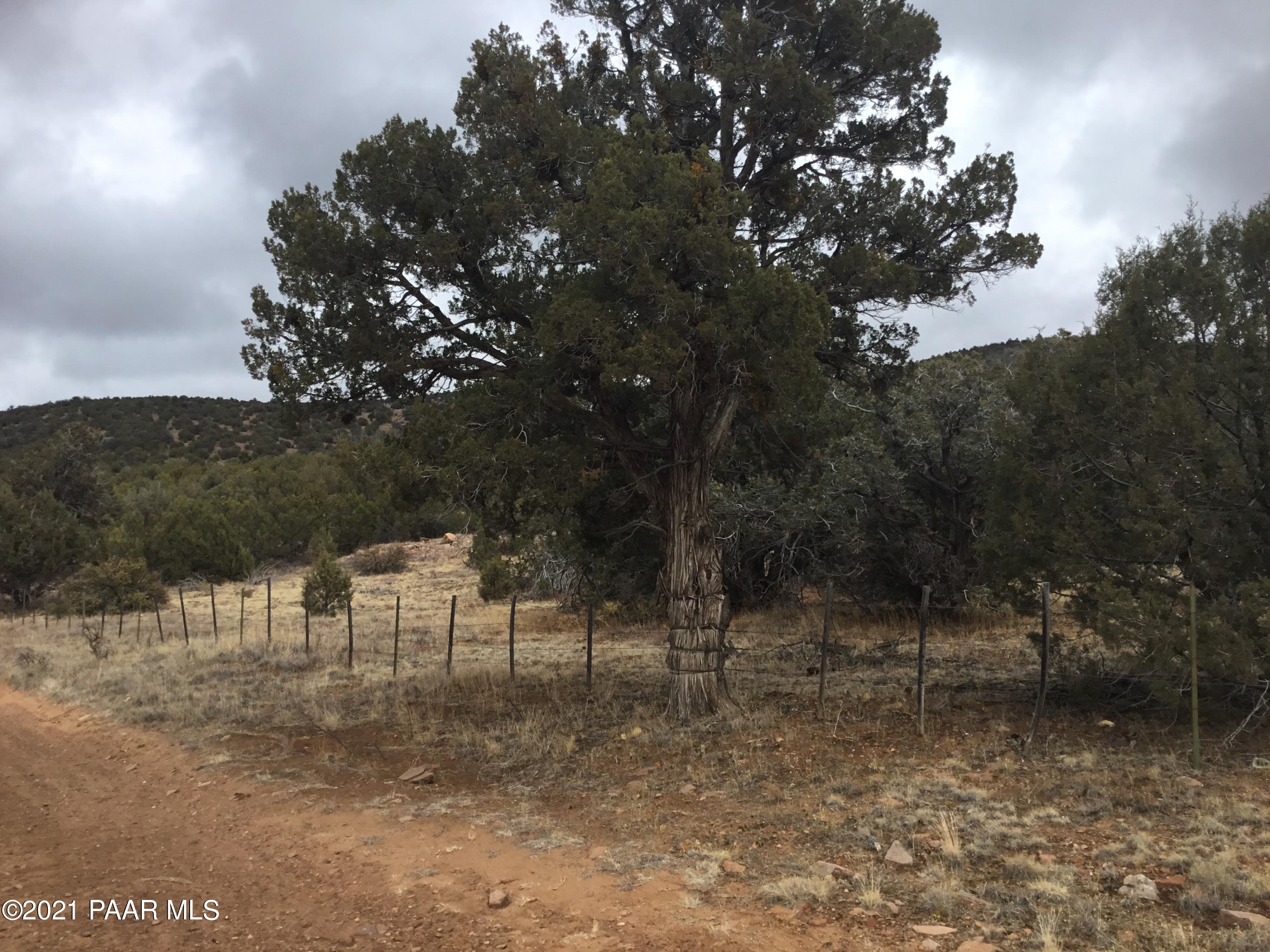 5986 North Forest Line Road Williams, AZ 86046 - Photo 6 of 29 Forest Line