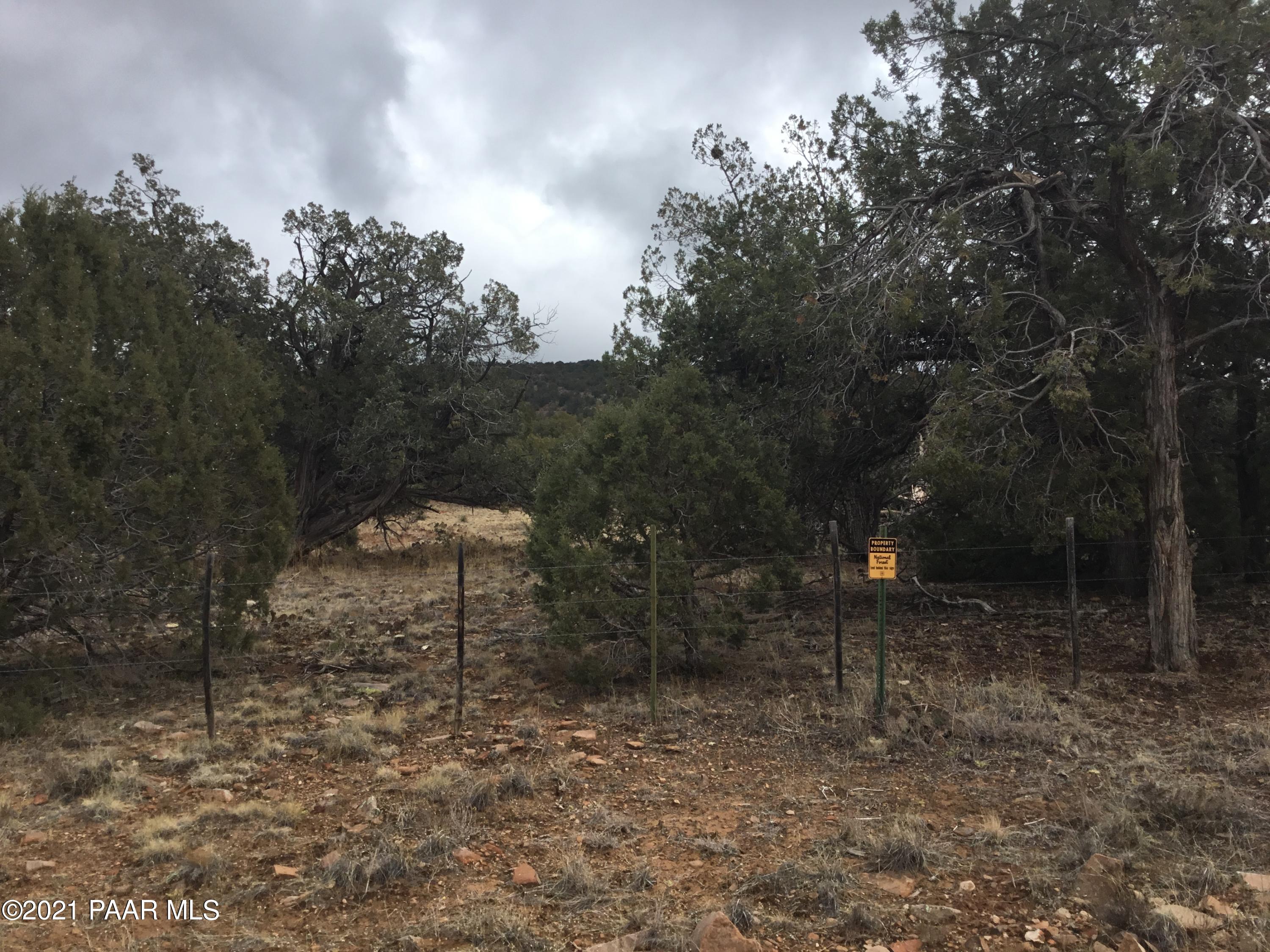 5986 North Forest Line Road Williams, AZ 86046 - Photo 7 of 29 Forest Line