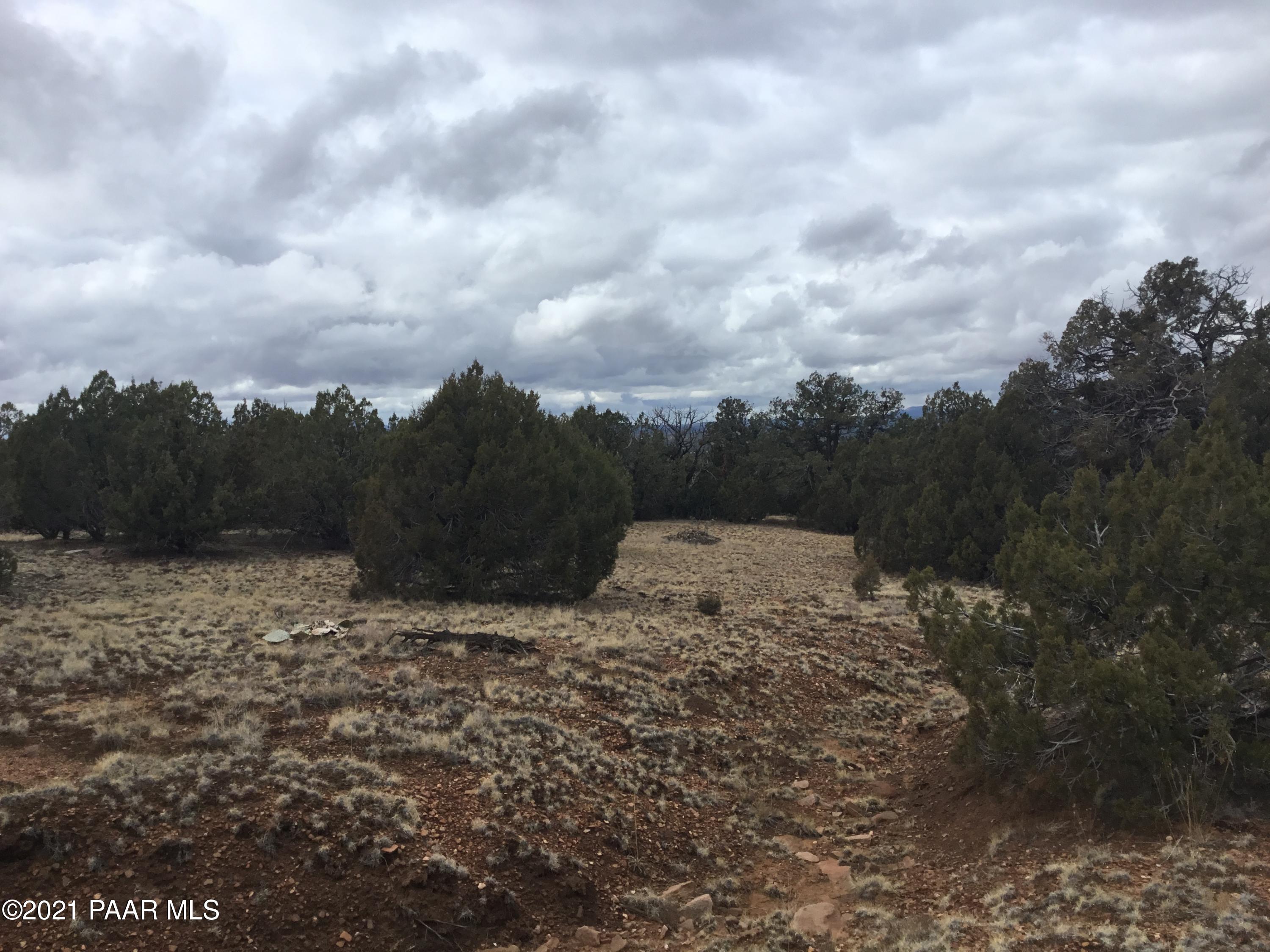 5986 North Forest Line Road Williams, AZ 86046 - Photo 10 of 29 Forest Line