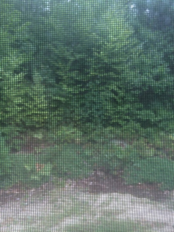 277 Fowler Road Northbridge, MA 01534 - Photo 14 of 14 a view of a windows