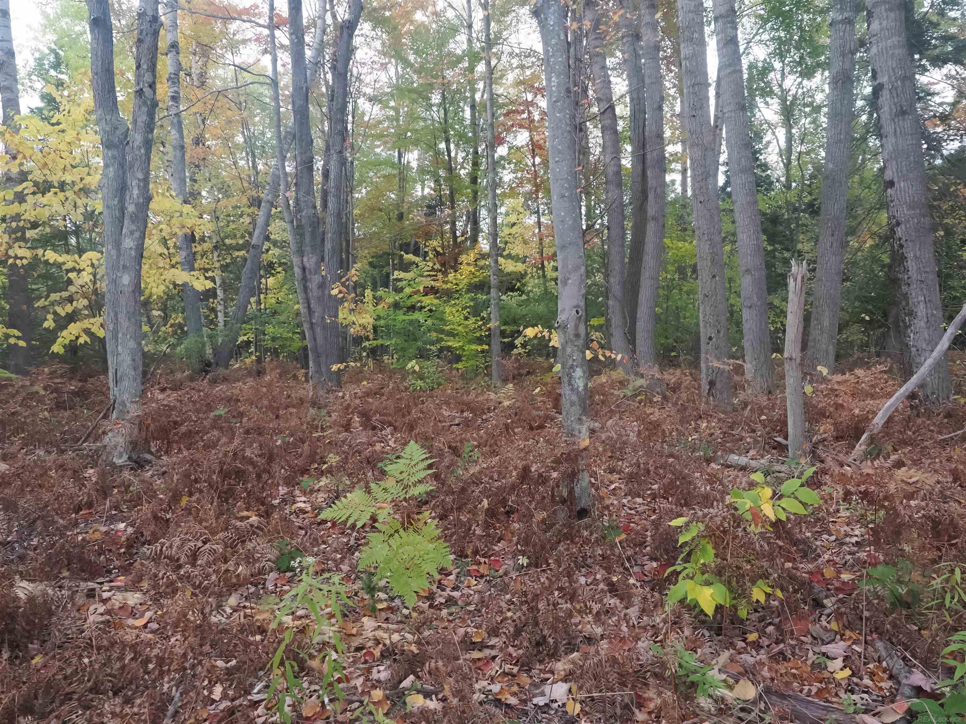 Xxx Tolan Road Spruce, MI 48762 - Photo 29 of 79
