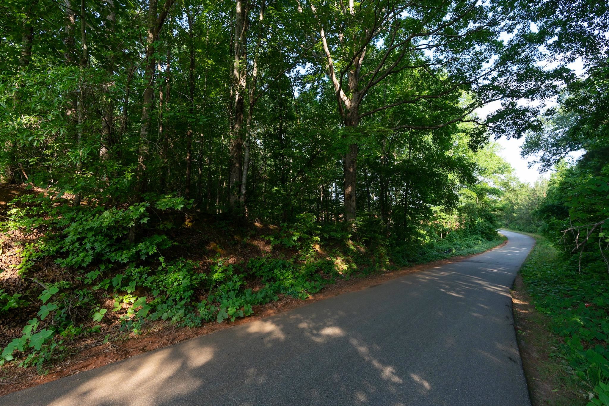 0 Gossett Road Spartanburg, SC 29307 - Photo 18 of 28