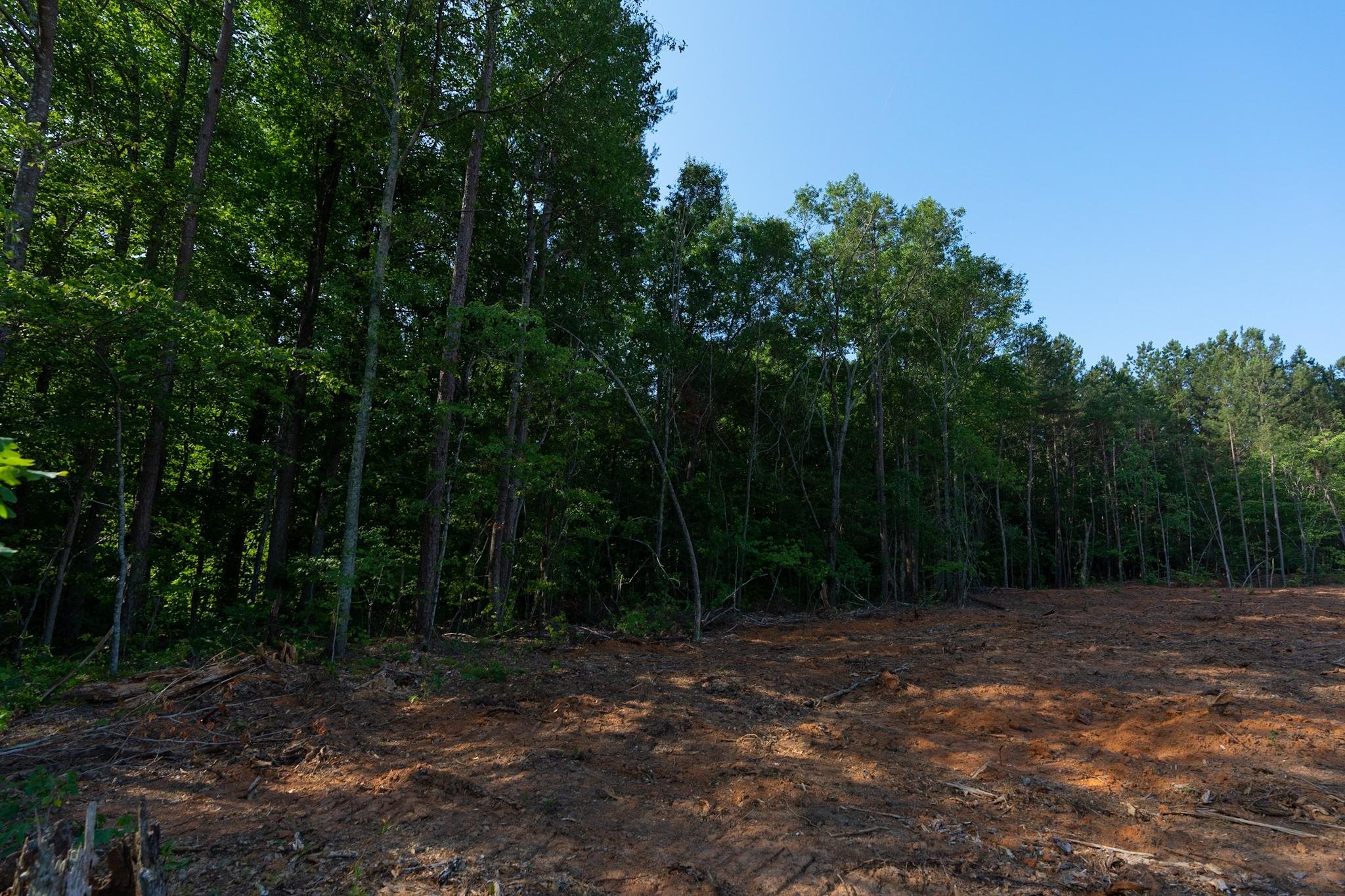0 Gossett Road Spartanburg, SC 29307 - Photo 19 of 28