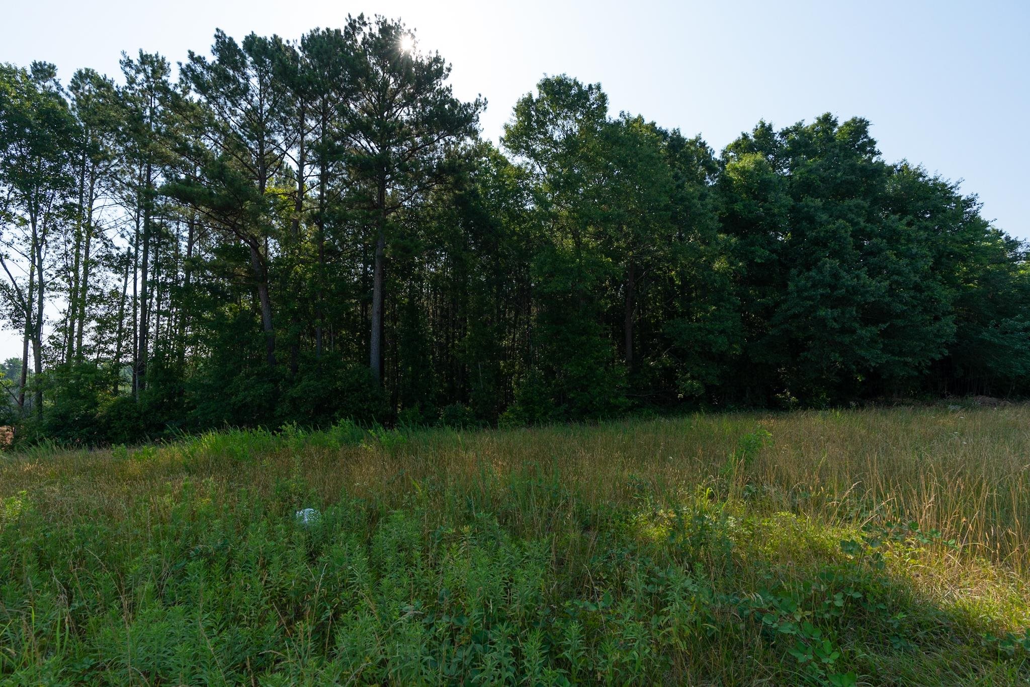 0 Gossett Road Spartanburg, SC 29307 - Photo 3 of 28